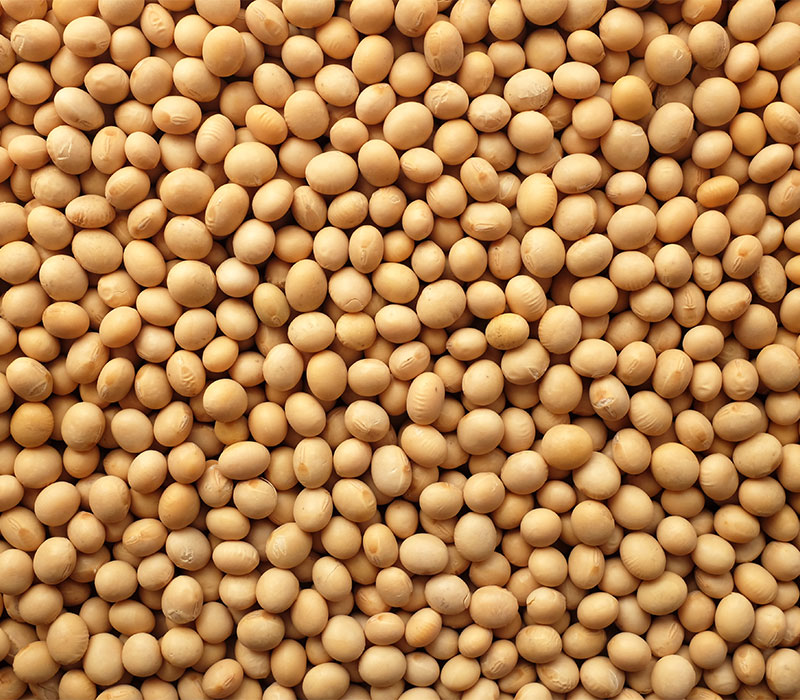 Soybeans